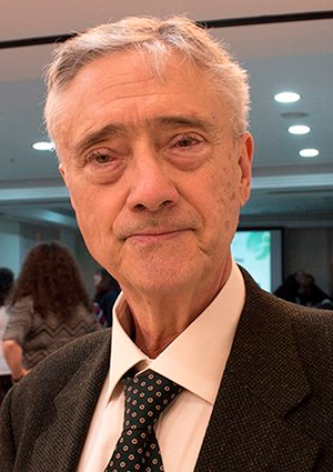 Carlos Puente Martin (1)